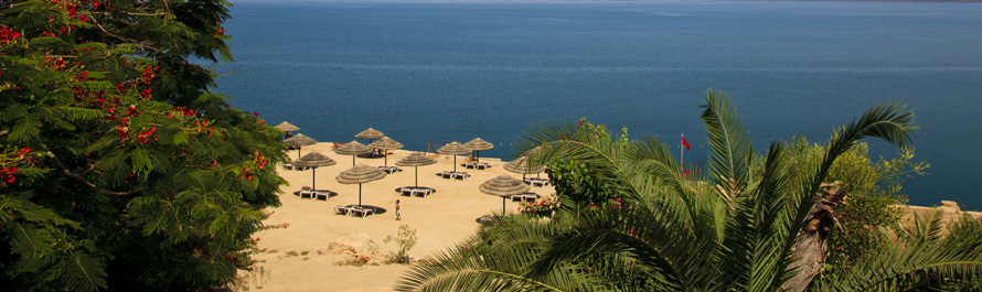 Dead Sea Beach